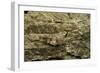 Oedipoda Caerulescens (Blue-Winged Grasshopper)-Paul Starosta-Framed Photographic Print