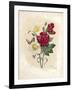 Oeillet-Pierre-Joseph Redouté-Framed Giclee Print