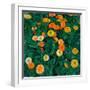 Oeillets D'inde - Peinture De Koloman Moser (1868-1918), 1909, Huile Sur Toile - Marigolds - Oil On-Koloman Moser-Framed Giclee Print