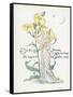 Oenothera Missouriensis-Walter Crane-Framed Stretched Canvas