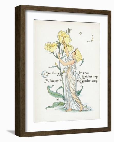 Oenothera Missouriensis-Walter Crane-Framed Art Print