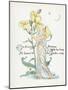 Oenothera Missouriensis-Walter Crane-Mounted Art Print