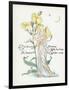 Oenothera Missouriensis-Walter Crane-Framed Art Print