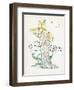 Oenothera Missouriensis-Walter Crane-Framed Art Print