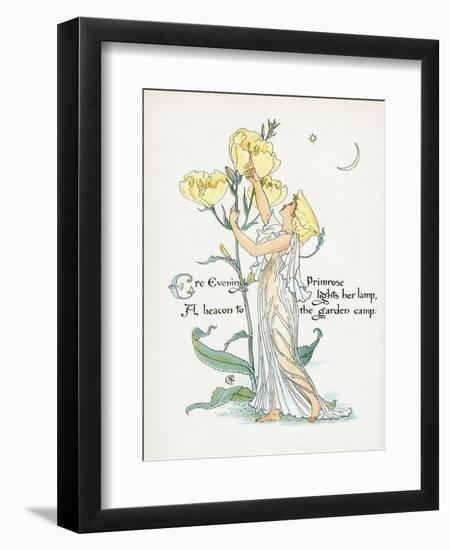 Oenothera Missouriensis-Walter Crane-Framed Art Print