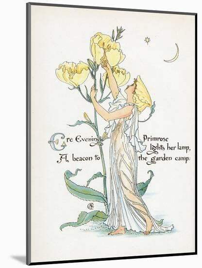 Oenothera Missouriensis-Walter Crane-Mounted Art Print