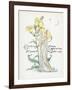 Oenothera Missouriensis-Walter Crane-Framed Art Print