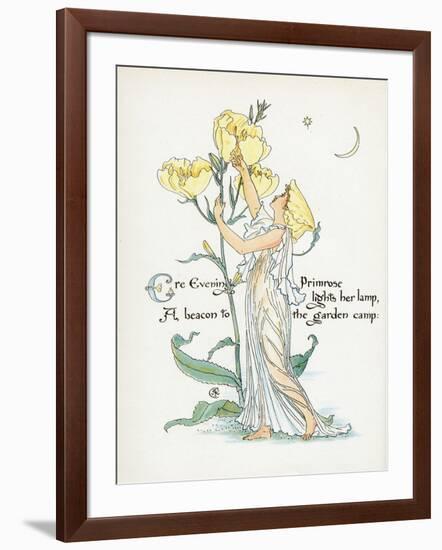 Oenothera Missouriensis-Walter Crane-Framed Art Print