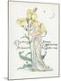 Oenothera Missouriensis-Walter Crane-Mounted Art Print