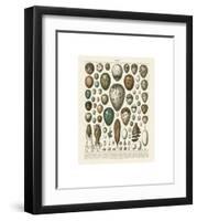 Oeufs-Adolphe Millot-Framed Giclee Print