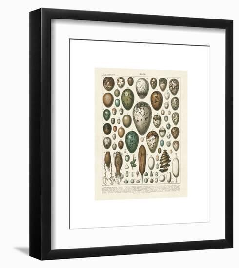 Oeufs-Adolphe Millot-Framed Giclee Print