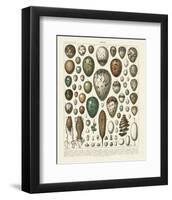 Oeufs-Adolphe Millot-Framed Art Print