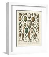 Oeufs-Adolphe Millot-Framed Art Print