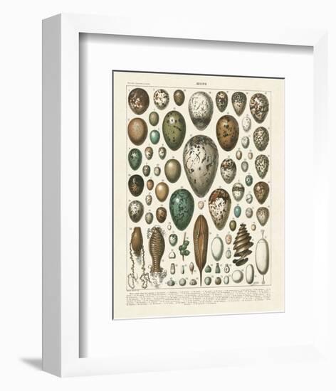 Oeufs-Adolphe Millot-Framed Art Print