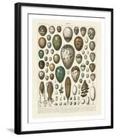 Oeufs-Adolphe Millot-Framed Art Print