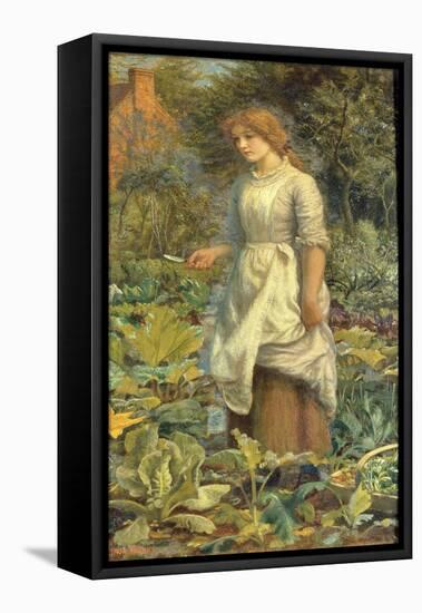 Of Herbs, and Other Country Messes, Which the Neat-Handed Phyllis Dresses-A. Hughes-Framed Stretched Canvas