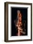 Of Soul and Sword Tatoo Girl-null-Framed Art Print