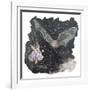 Of The Night-Kirstie Adamson-Framed Giclee Print