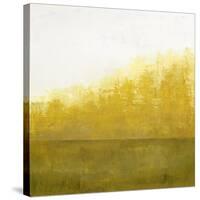 Of the Season B-Danna Harvey-Stretched Canvas