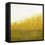 Of the Season B-Danna Harvey-Framed Stretched Canvas