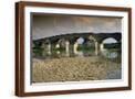 Brown Frame