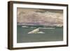 'Off the Edge of the Ice - Gathering Storm, 14th September 1893, (1897)-Fridtjof Nansen-Framed Giclee Print