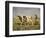 Off to Market-Hans Michael Therkildsen-Framed Premium Giclee Print