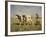 Off to Market-Hans Michael Therkildsen-Framed Giclee Print