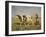 Off to Market-Hans Michael Therkildsen-Framed Giclee Print