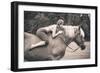 Off to the Races-Jae-Framed Photographic Print