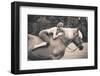 Off to the Races-Jae-Framed Photographic Print