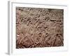 Offering Tribute, Ancient Egyptian Relief Carving-R Guillemot-Framed Photographic Print