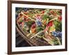 Offerings of flowers for sale, Denpasar, Bali, Indonesia, Southeast Asia, Asia-Melissa Kuhnell-Framed Photographic Print