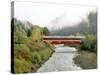 Office Covered Bridge over the Willamette River, Westfir, Oregon, USA-Jaynes Gallery-Stretched Canvas