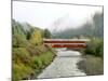 Office Covered Bridge over the Willamette River, Westfir, Oregon, USA-Jaynes Gallery-Mounted Photographic Print