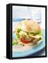 Office Snack: Meat, Cheese and Tomato in Bread Roll-null-Framed Stretched Canvas