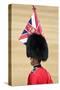Officer at The Queen's Annual Birthday Parade Trooping the Colour-null-Stretched Canvas