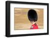 Officer at The Queen's Annual Birthday Parade Trooping the Colour-null-Framed Art Print