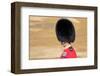 Officer at The Queen's Annual Birthday Parade Trooping the Colour-null-Framed Art Print