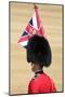 Officer at The Queen's Annual Birthday Parade Trooping the Colour-null-Mounted Art Print