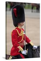 Officer at the The Queen's Annual Birthday Parade Trooping the Colour-null-Stretched Canvas