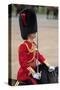 Officer at the The Queen's Annual Birthday Parade Trooping the Colour-null-Stretched Canvas