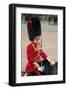 Officer at the The Queen's Annual Birthday Parade Trooping the Colour-null-Framed Art Print