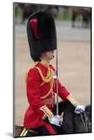 Officer at the The Queen's Annual Birthday Parade Trooping the Colour-null-Mounted Art Print