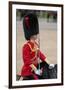 Officer at the The Queen's Annual Birthday Parade Trooping the Colour-null-Framed Art Print