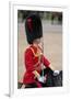 Officer at the The Queen's Annual Birthday Parade Trooping the Colour-null-Framed Art Print