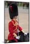 Officer at the The Queen's Annual Birthday Parade Trooping the Colour-null-Mounted Art Print