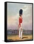 Officer, Grenadier Guards, 19th Century (1909)-Ralph Nevill-Framed Stretched Canvas