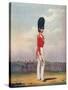 Officer, Grenadier Guards, 19th Century (1909)-Ralph Nevill-Stretched Canvas