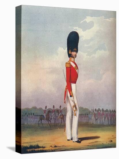 Officer, Grenadier Guards, 19th Century (1909)-Ralph Nevill-Stretched Canvas